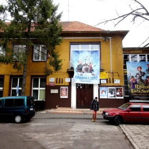 Kino Wilga