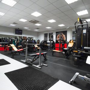 Perfect Body Pyskowice