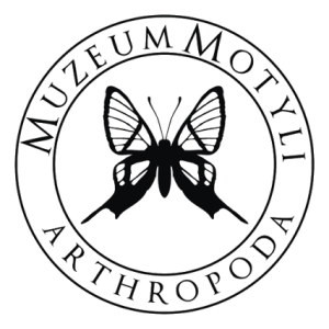 Muzeum Motyli Arthropoda