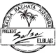 Logo Salsa Elbląg