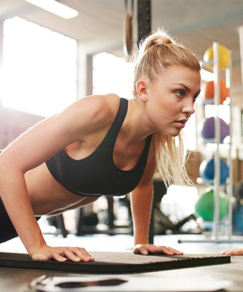 Program FitProfit</br>i FitSport