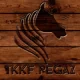 Logo Pegaz