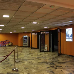 Kino Przedwiośnie