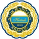 Logo Nowy Hutnik 2010