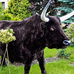 Deli Park Edukacji i Rozrywki