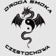 Droga Smoka