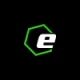 Logo Endorfina Platinium Gym&Fitness
