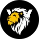 Logo Valor MMA Luboń