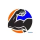 Logo N-Gym