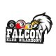 Falcon Klub Bilardowy