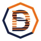 Logo Direct Sport