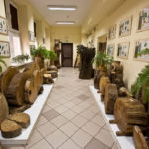 Muzeum Lasu i Drewna