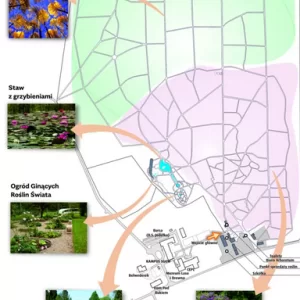 Arboretum SGGW