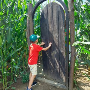 Labirynt Królowej Bony