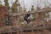Rabat na wybrany pakiet dla grupy 15 osób (2 osoby wchodzą za darmo)