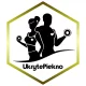 Logo Ukryte Piękno