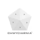 Logo CHWYCIARNIA Arena Gliwice