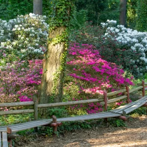Arboretum SGGW