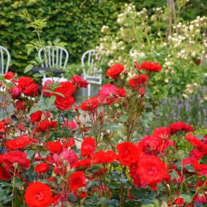 Ogrody Hortulus Spectabilis