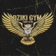 Logo Dziki Gym Figh Club
