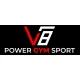 Logo V8