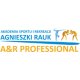 ASiR A&R Professional