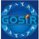 Logo GOSiR Gniezno