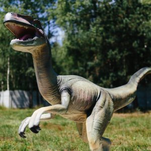 Brzezovka Kompleks Turystyczny