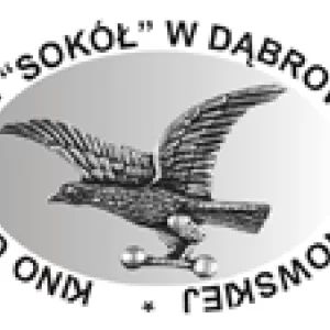 Kino Sokół