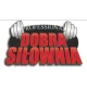 Logo Sigma Gym
