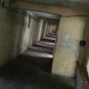 Zdjęcie 3