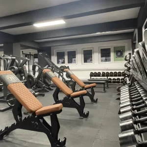 Skarabeusz Old School Gym