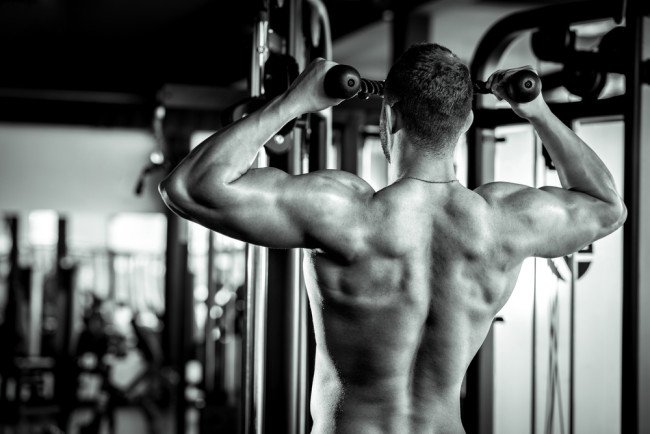 BICEPS I TRICEPS, CZYLI O TRENINGU RAMION