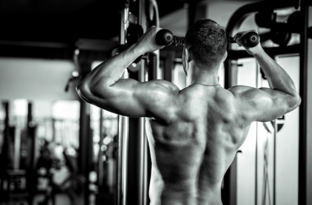 BICEPS I TRICEPS, CZYLI O TRENINGU RAMION