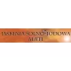 Logo Jaskinia Solna Alati