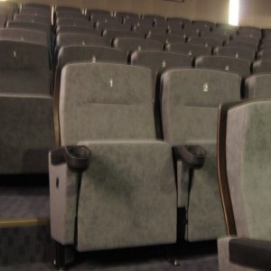 Kino w Rydułtowskim Centrum Kultury „Feniks”