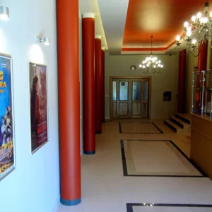 Kino Wilga