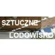 Logo Lodowisko Mentorsport