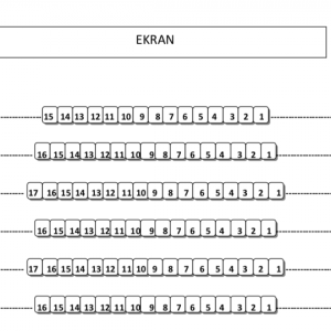 Kino w Rydułtowskim Centrum Kultury „Feniks”