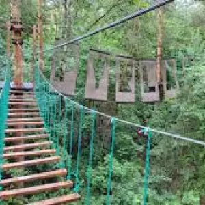Pyrland Park Linowy