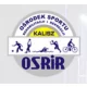 Logo Moje Boisko ORLIK 2012