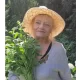 ANNA SENIUK - Księga ziół i nie tylk