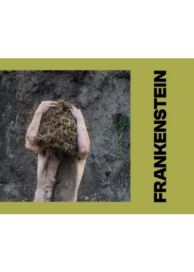 frankenstein