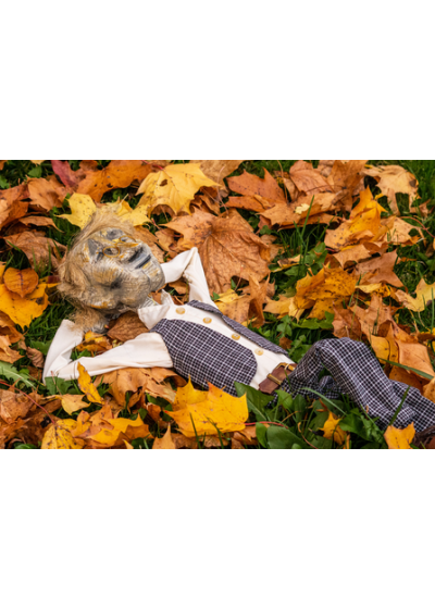 Przygody (z) Pozytywki